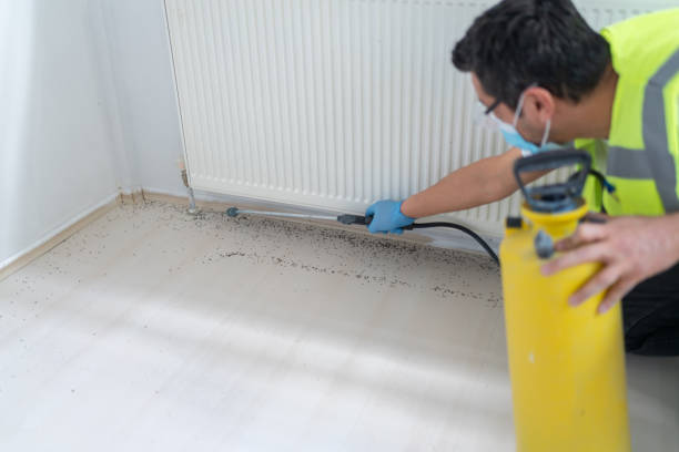 Best Pest Control Near Me  in Shippensburg, PA